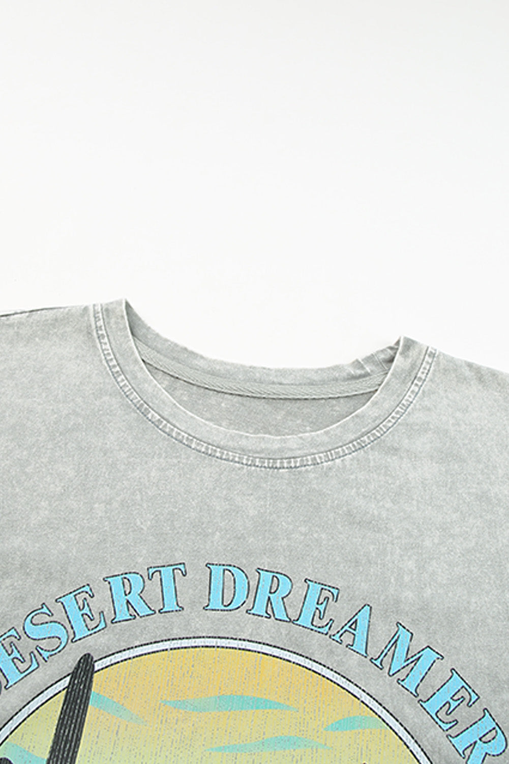 T-shirt con grafica lavaggio minerale grigio Desert Dreamer